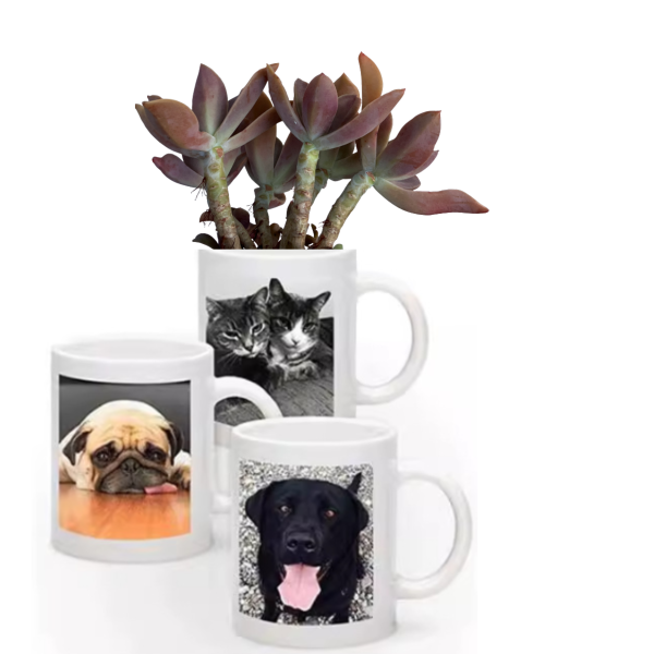 Plant Delivery Gift | Personalised Coffee Mug With Succulents